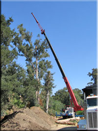 Construction, Landscape and Facilities Support